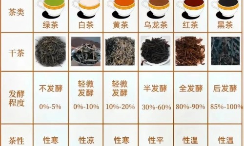 肝脏不好会出现什么症状-肝脏不好脚先知的症状-肝脏不好有哪些症状表现男性,中国肝脏不好的早症状网站